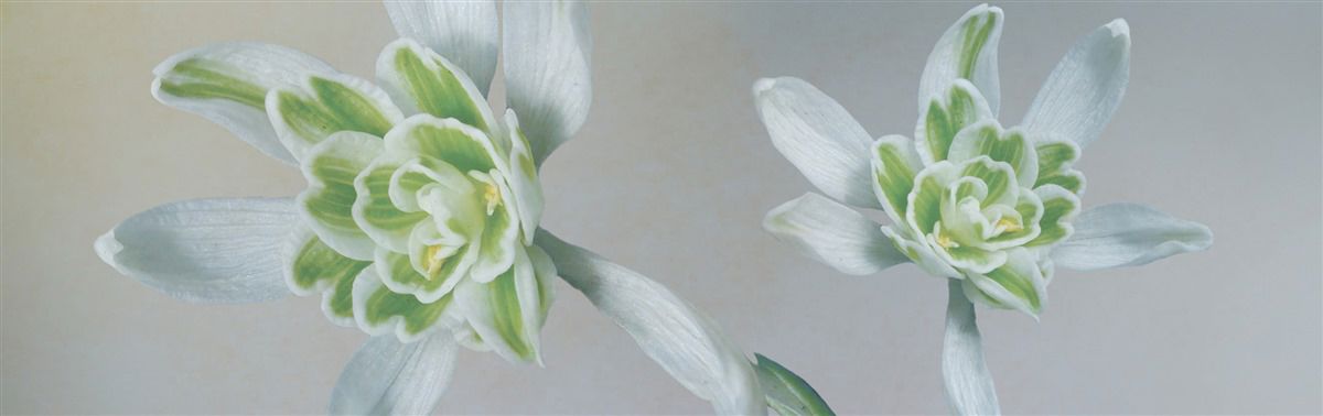 Märchen von der Natur